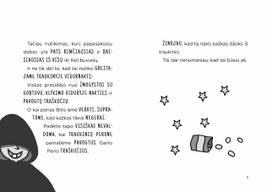 detektyvai vaikams - Naktinio traukinio apiplėšimas. Mokyklos detektyvai, 12 dalis - Pamela Butchart - 2 nuotrauka