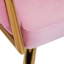 rozinis fotelis - Fotelis 4Rico QS-GW06G, aksominis, rožinis (Pink) - 5 nuotrauka