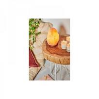 sviestuvai - Lampa solna/ jonizator 3-5kg 22722 - 4 nuotrauka