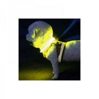 purlov - Purlov 24200 LED antkaklis šunims, geltonas (Yellow) - 5 nuotrauka