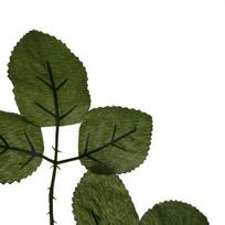 gardlov - Dirbtinė šakelė 22557, žalia sp., 47 cm x 25 cm - 6 nuotrauka