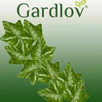 gebene - Dirbtinė gebenės girlianda 12,6m Gardlov 19733 m - 14 nuotrauka