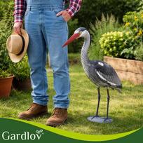 garnys - Gardlov Sodo dekoracija - Garnys (Heron) - 9 nuotrauka