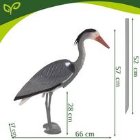 garnys - Gardlov Sodo dekoracija - Garnys (Heron) - 14 nuotrauka