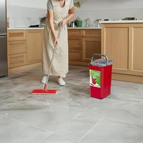 sluota su kibiru - Flat Mop + Bucket + Telescopic Pole + 2 x Microfibre Pad 5.7L Floor Cleaning XXL Set Rotating Head - 13 nuotrauka