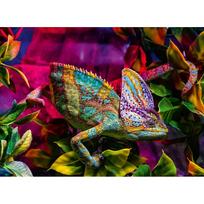 chameleonas - Ravensburger Chameleon 12001333, 500 det. - 2 nuotrauka
