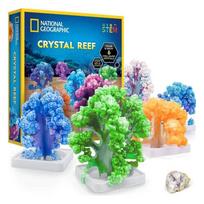 national geographic crystal - NATIONAL GEOGRAPHIC Kristalų auginimo rinkinys Crystal Reef, įvairių spalvų - 2 nuotrauka