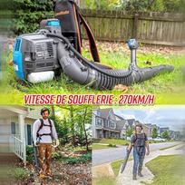 benzininis lapu pustuvas - Benzininis lapų pūstuvas Lawnmaster, 850 W - 2 nuotrauka