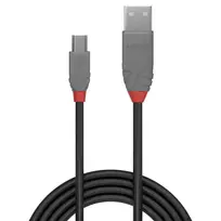 usb a type to usb b - CABLE USB2 A TO MINI-B 0.2M/ANTHRA 36720 LINDY - 2 nuotrauka