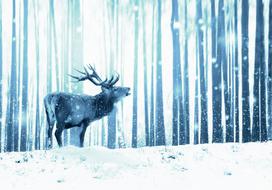 Fototapetas Artgeist Winter Animals - Deer Motif On A Forest Background In Shades Of Blue 5XLFT1870SAM, 315 cm x 441 cm