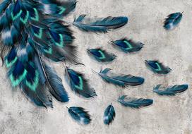 Fototapetas Artgeist Blown Feathers, 210 cm x 300 cm