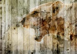 Fototapetas Artgeist Unbridled Beauty, 175 cm x 250 cm