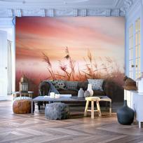 Fototapetas Artgeist Morning Meadow XLFTNT1386, 193 cm x 250 cm