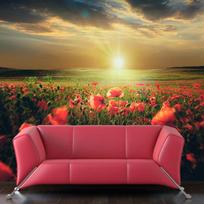 Fototapetas Artgeist Morning On The Poppy Meadow LFTNT1542SAM, 154 cm x 196 cm