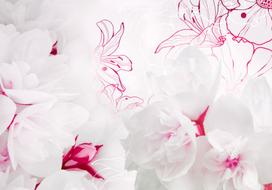 Fototapetas Artgeist Enveloped In White, 210 cm x 300 cm