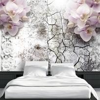 Fototapetas Artgeist Bright Red Orchids, 140 cm x 200 cm