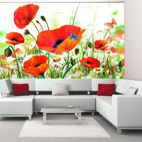 Fototapetas Artgeist Country Poppies FTNT1609, 270 cm x 350 cm