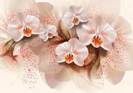 Fototapetas Artgeist Pale Yellow Orchids XLNEW011178SAM, 175 cm x 245 cm