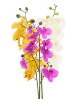 dirbtines orchidejos balt - Dirbtinė gėlė orchidėja NOVELLY HOME GFQ-005, baltos sp., aukštis - 95 cm. - 2 nuotrauka