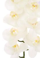dirbtines orchidejos balt - Dirbtinė gėlė orchidėja NOVELLY HOME GFQ-005, baltos sp., aukštis - 95 cm. - 3 nuotrauka