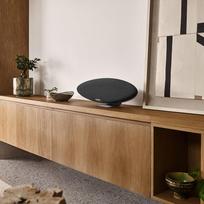 bowers wilkins belaides - Bowers & Wilkins Zeppelin Pro Edition Pilka (Space Grey) - 8 nuotrauka