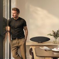 bowers wilkins belaides - Bowers & Wilkins Zeppelin Pro Edition Pilka (Space Grey) - 9 nuotrauka