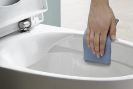pastatomas klozetas su rimless - Unitazas Laufen Kompas Rimless, su dangčiu, 360x560 mm - 5 nuotrauka