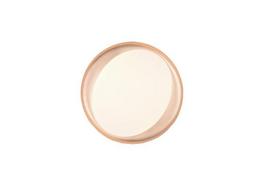 lubinis led sviestuvas juodas - Reality Zeta, LED, 24 W, 2700-6000 °K, Juodas/Auksinis (Black/Gold) - 4 nuotrauka