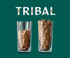 sunu maistas senjorams - TRIBAL Fresh Pressed Senior/Light Turkey sausas maistas šunims, kalakutiena - 2 nuotrauka