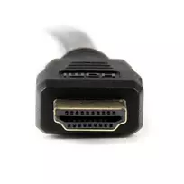 kabelis hdmi dvi - StarTech.com HDDVIMM2M HDMI į DVI-D kabelis 2 m Juodas (Black) - 3 nuotrauka