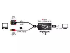 displayport dvi - Delock Adapter DVI / Displayport Black - 3 nuotrauka