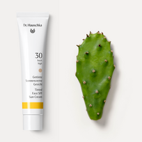 kremai nuo saules spf 30 - Dr. Hauschka Tinted Face Sun Cream SPF30 atspalvį suteikiantis veido kremas nuo saulės - 40 ml. - 5 nuotrauka