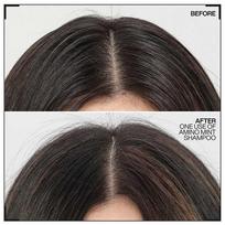 valomasis sampunas - Šampūnas Redken Amino Mint, 300 ml - 2 nuotrauka