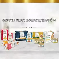 purina gourmet - PURINA Gourmet Perle Mini filė padaže - šlapias kačių maistas - 60 x 85 g - 2 nuotrauka