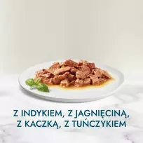 purina gourmet - PURINA Gourmet Perle Mini filė padaže - šlapias kačių maistas - 60 x 85 g - 6 nuotrauka