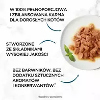 purina gourmet - PURINA Gourmet Perle Mini filė padaže - šlapias kačių maistas - 60 x 85 g - 8 nuotrauka