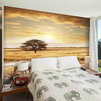 Fototapetas Artgeist African zebras around watering hole, 270 cm x 350 cm