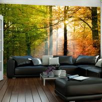 Fototapetas Artgeist Beautiful autumn LFTNT0199SAM, 154 cm x 196 cm