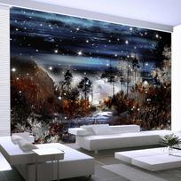 Fototapetas Artgeist Night in the forest, 70 cm x 100 cm
