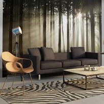 Fototapetas Artgeist Coniferous forest, 270 cm x 350 cm