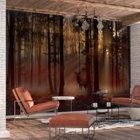 Fototapetas Artgeist Mystical Forest MFT1946, 105 cm x 150 cm
