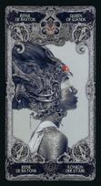 bicycle kortos - Fournier XIII Tarot kortos, autorius Nekro - 3 nuotrauka