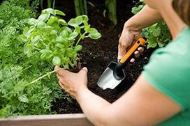 senukai greblys - Daržininko kastuvėlis Fiskars, plastikinis su metalu, 8.7 cm - 2 nuotrauka