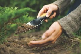 senukai greblys - Daržininko kastuvėlis Fiskars, plastikinis su metalu, 8.7 cm - 3 nuotrauka