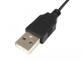 ps 2 pelyte - Equip 245107 Kompaktinė pelė Juoda (Black) - 4 nuotrauka