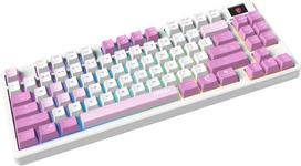 gaming klaviatura - MSI FORGE GK600 TKL Violet - 5 nuotrauka