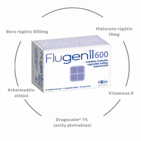 600 -  FLUGENIL 600, 10 ovulių - 3 nuotrauka