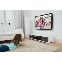 televizoriaus stovas 55 - TV laikiklis TECHLY 020621 - 2 nuotrauka