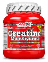 creatine monohydrate - AMIX Kreatinas Monohidratas, 500 g - 10 nuotrauka