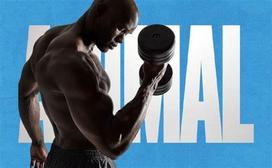 creatine 500g - Universal Animal Kreatinas 500 g. - 2 nuotrauka